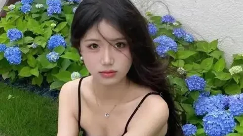 2025年中国粮食产量创新高