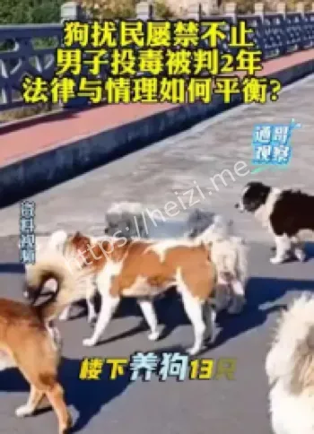 男子毒死9条狗获刑